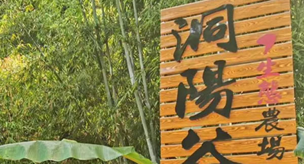 廣有合頁2019踏春拓展--經(jīng)歷中成長，成長中經(jīng)歷