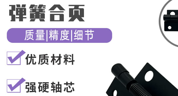 彈簧合頁，你身邊信賴的合頁|廣有五金&東莞合頁?